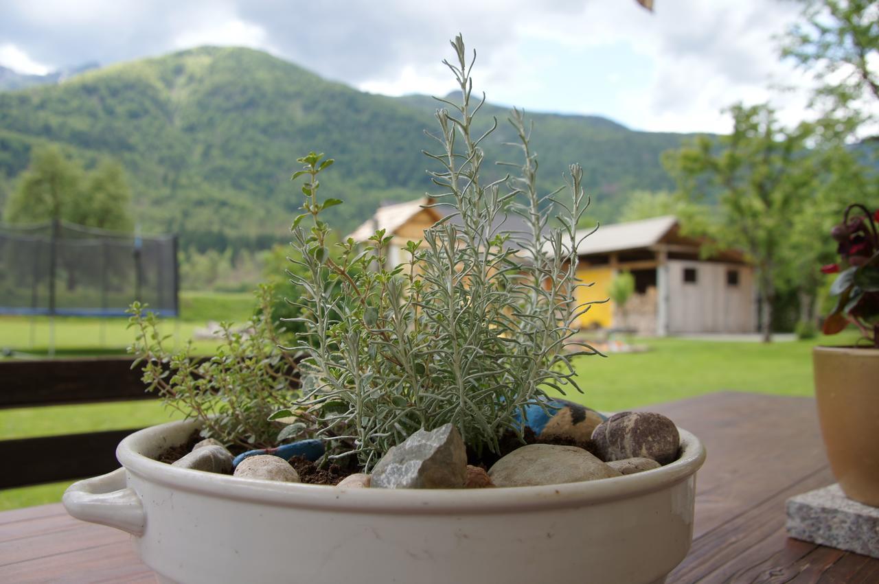 Apartments Markez Bohinj Dış mekan fotoğraf